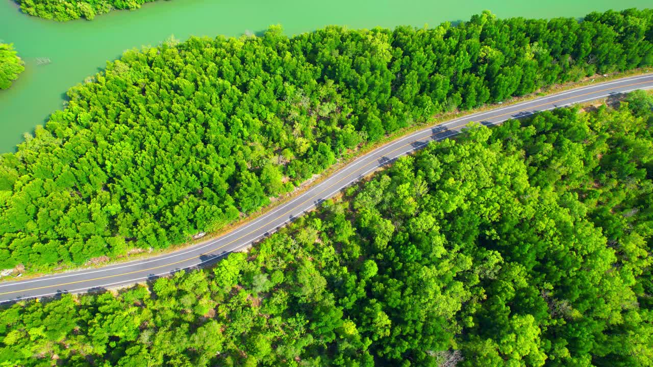 无人机在红树林的道路上飞行视频素材