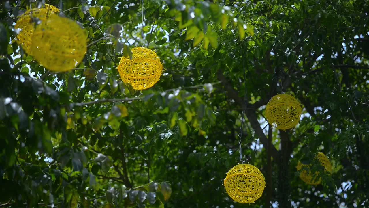 物体和室外视频素材