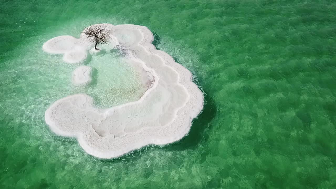 在晴朗的一天，无人机飞过死海，蓝绿色盐湖的死树航拍视频素材