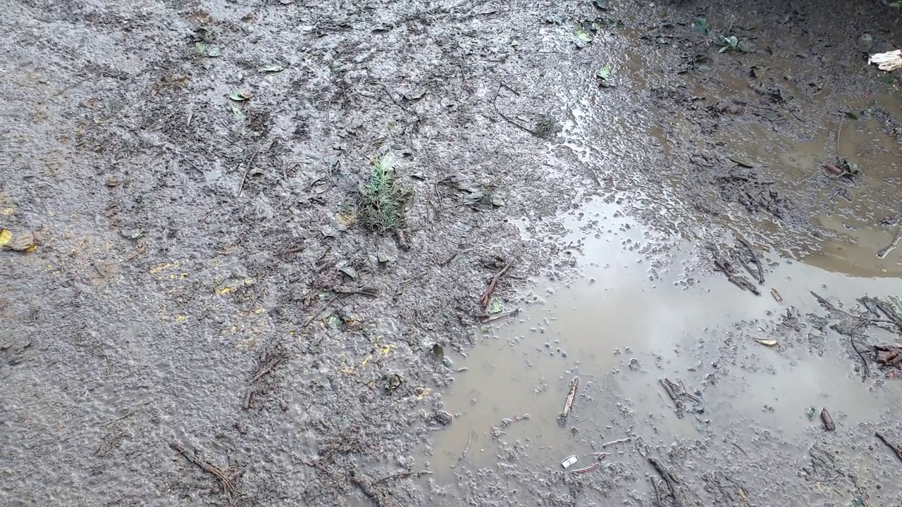 农村的道路上有许多坑洞和雨后的水坑视频素材