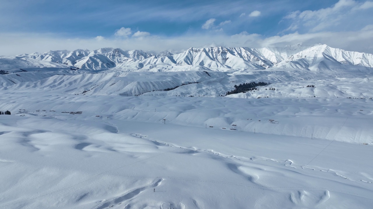 草地和森林被白雪覆盖视频素材