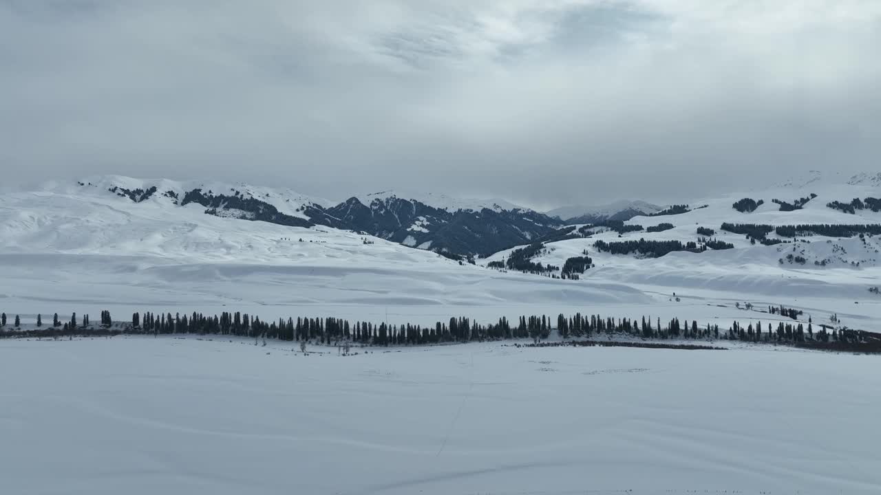 草地和森林被白雪覆盖视频素材