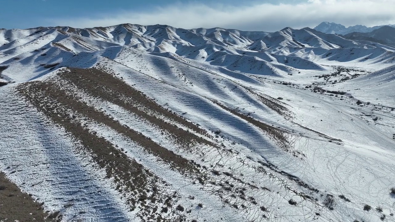 草地和森林被白雪覆盖视频素材