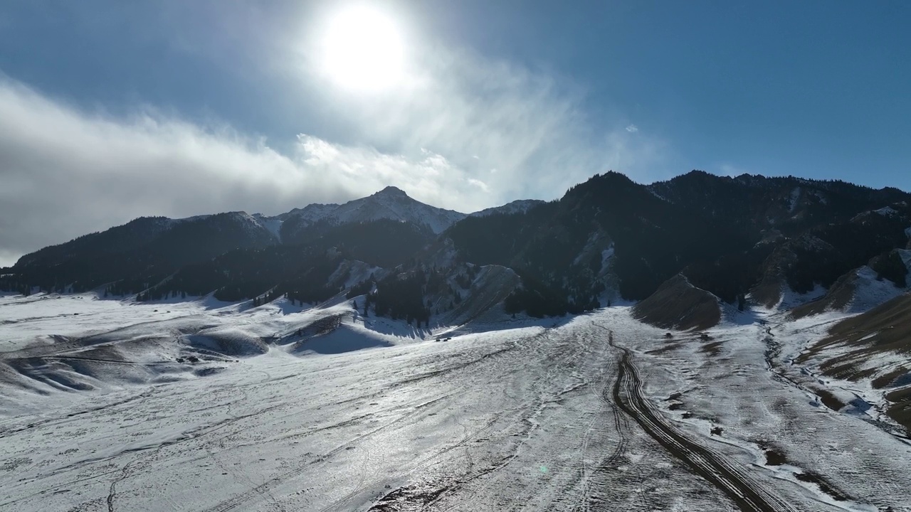 草地和森林被白雪覆盖视频素材