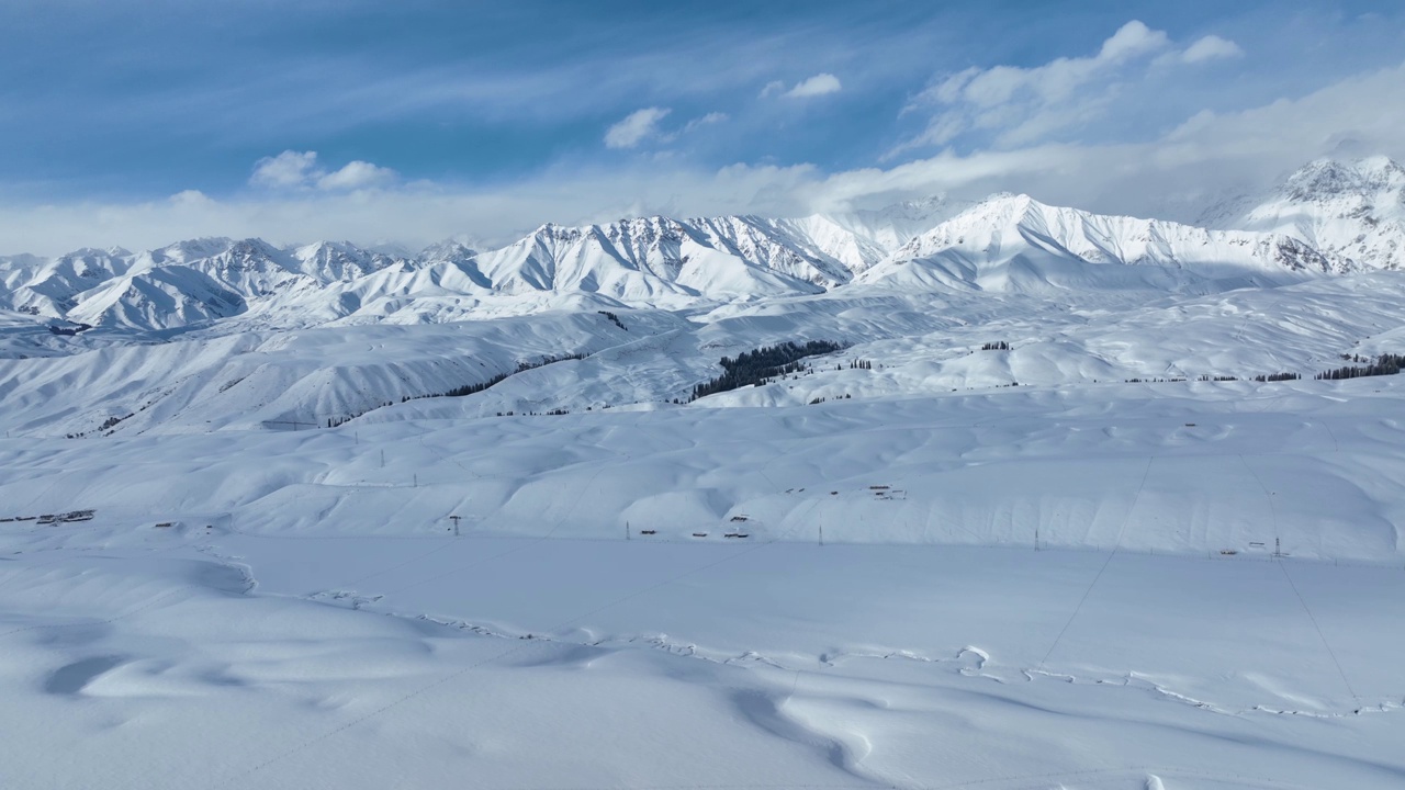 草地和森林被白雪覆盖视频素材