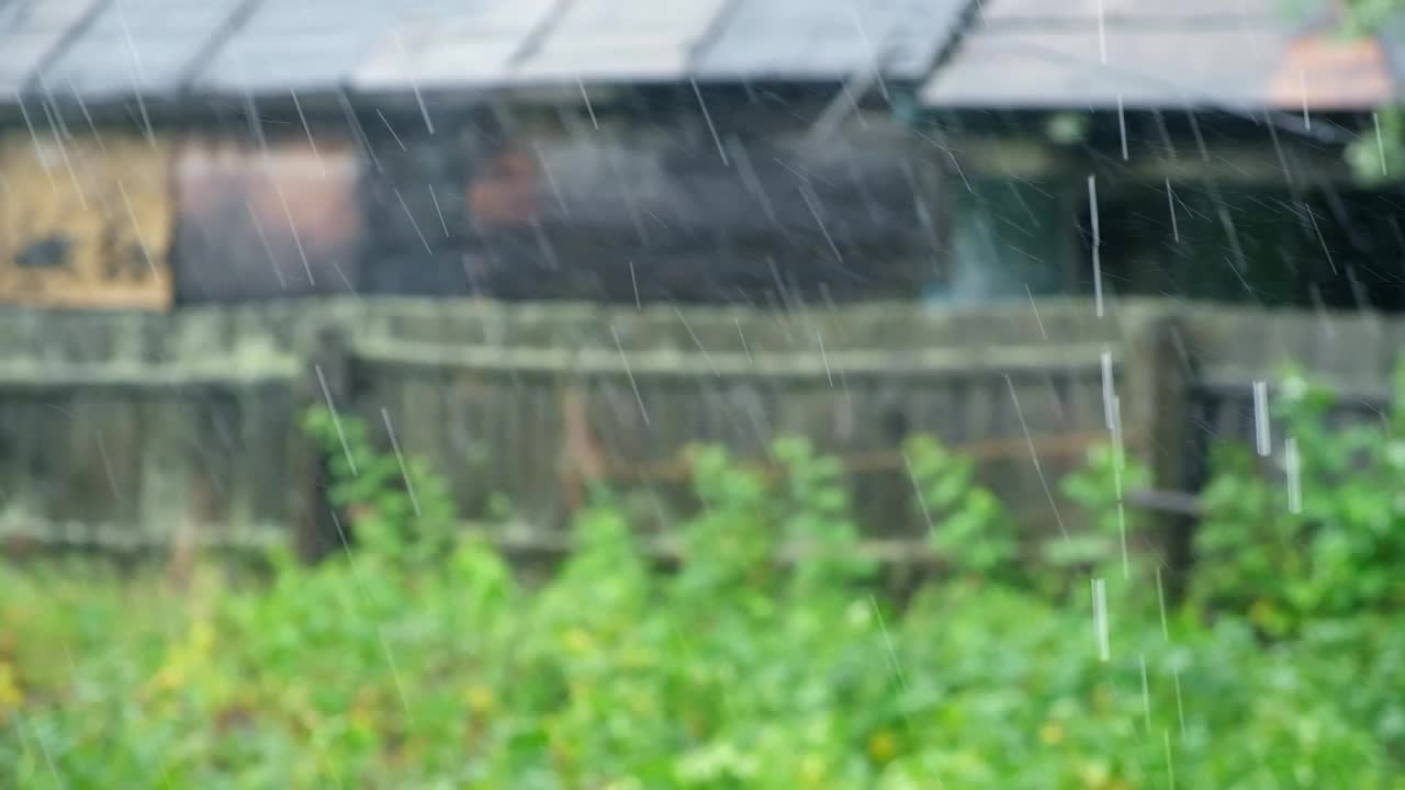 夏雨。雨滴落在绿树的背景上。关注前景。视频素材