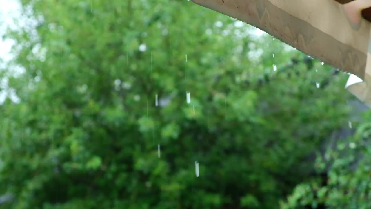 夏雨。雨滴落在绿树的背景上。关注前景。视频素材