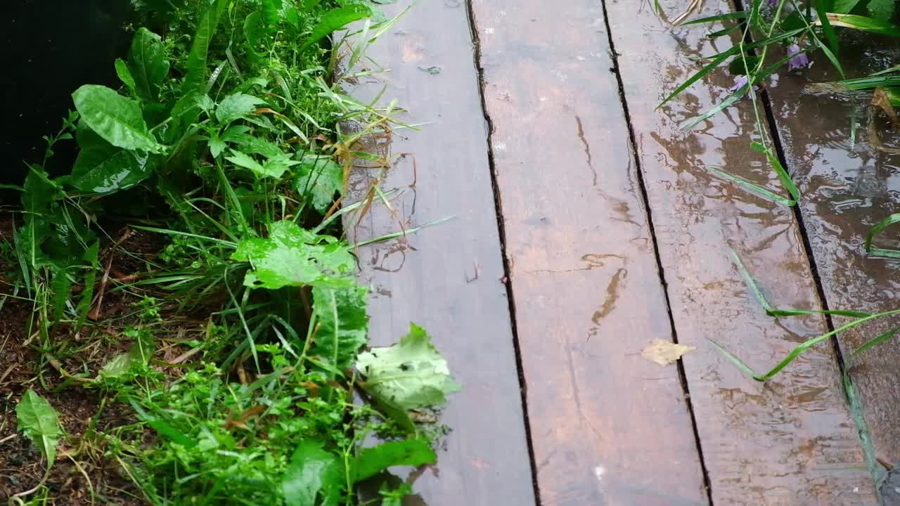 夏雨。雨滴落在路上。夏天阴雨多云的日子。雨季。降雨。视频素材