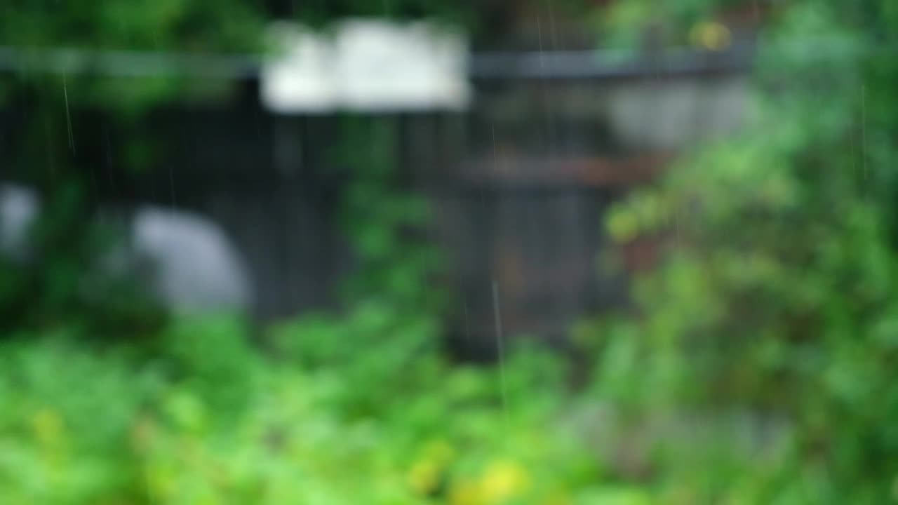 夏雨。雨滴落在绿树的背景上。关注前景。视频素材