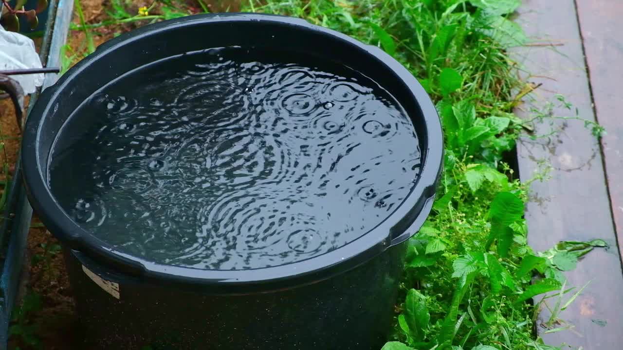 用来收集雨水的蓝色桶。用塑料容器收集雨水。视频素材