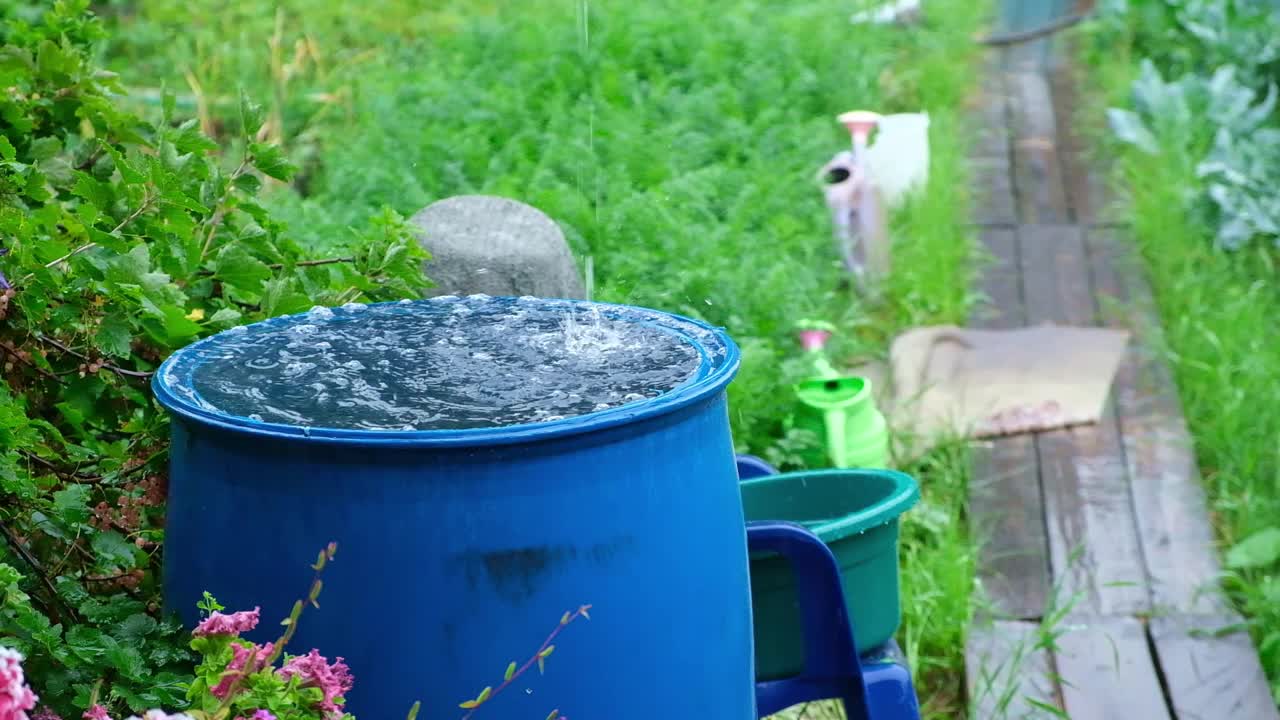 用来收集雨水的蓝色桶。用塑料容器收集雨水。视频素材