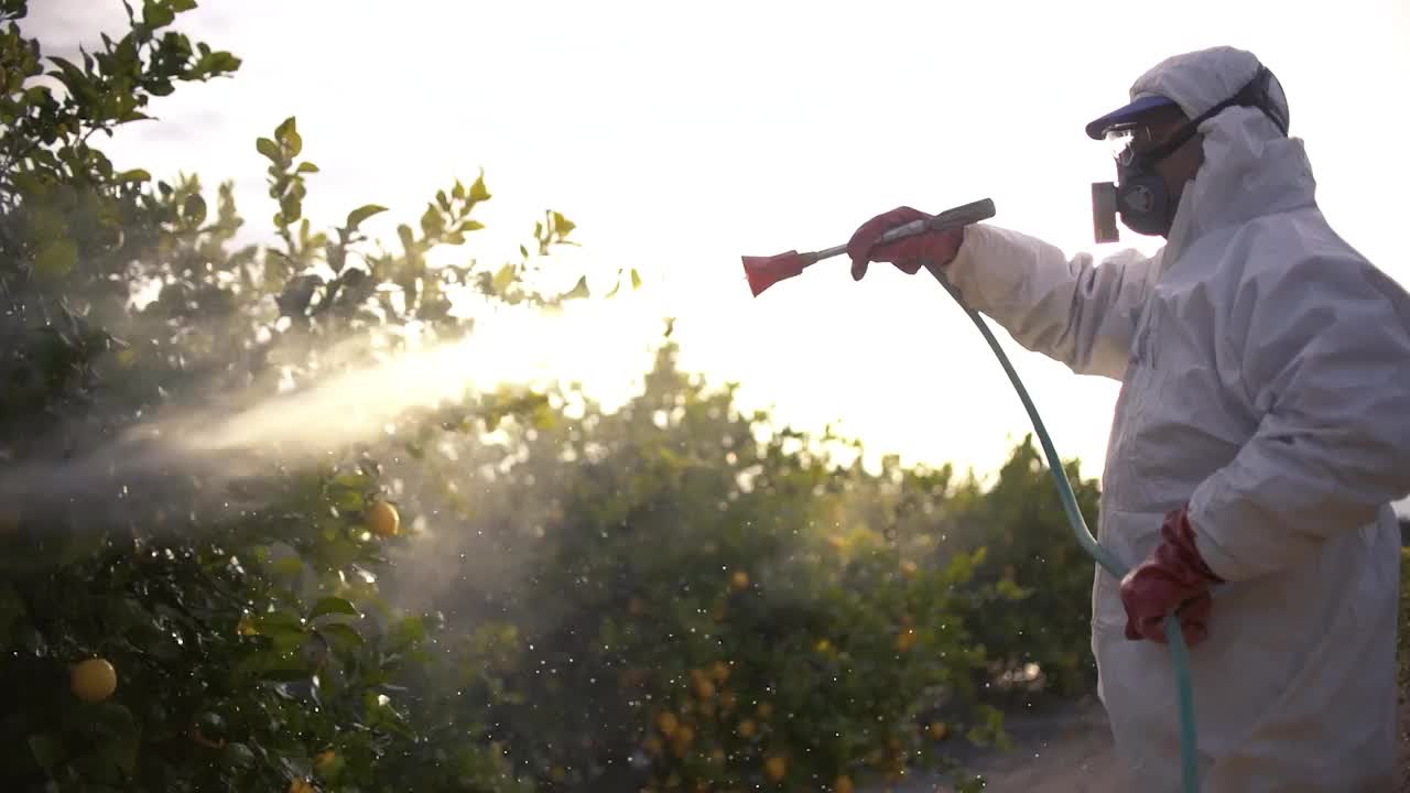 西班牙农民喷洒杀虫剂，杀虫剂，杀虫剂或杀虫剂喷洒在柠檬树农业领域视频素材