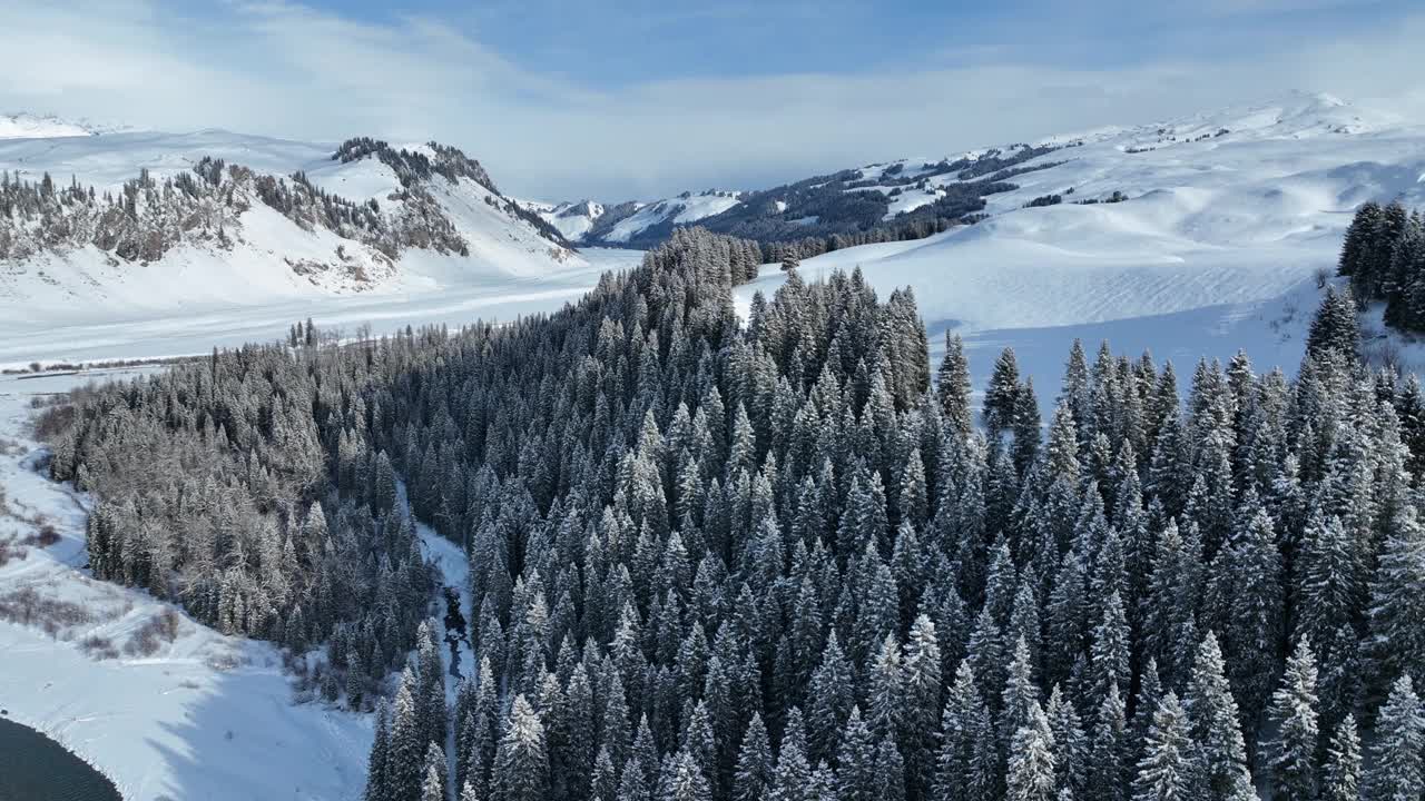 草地和森林被白雪覆盖视频素材