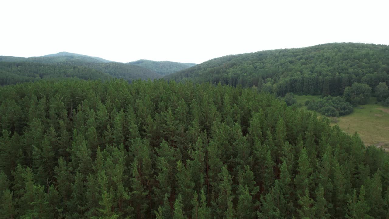 多云天气的山区森林鸟瞰图视频素材