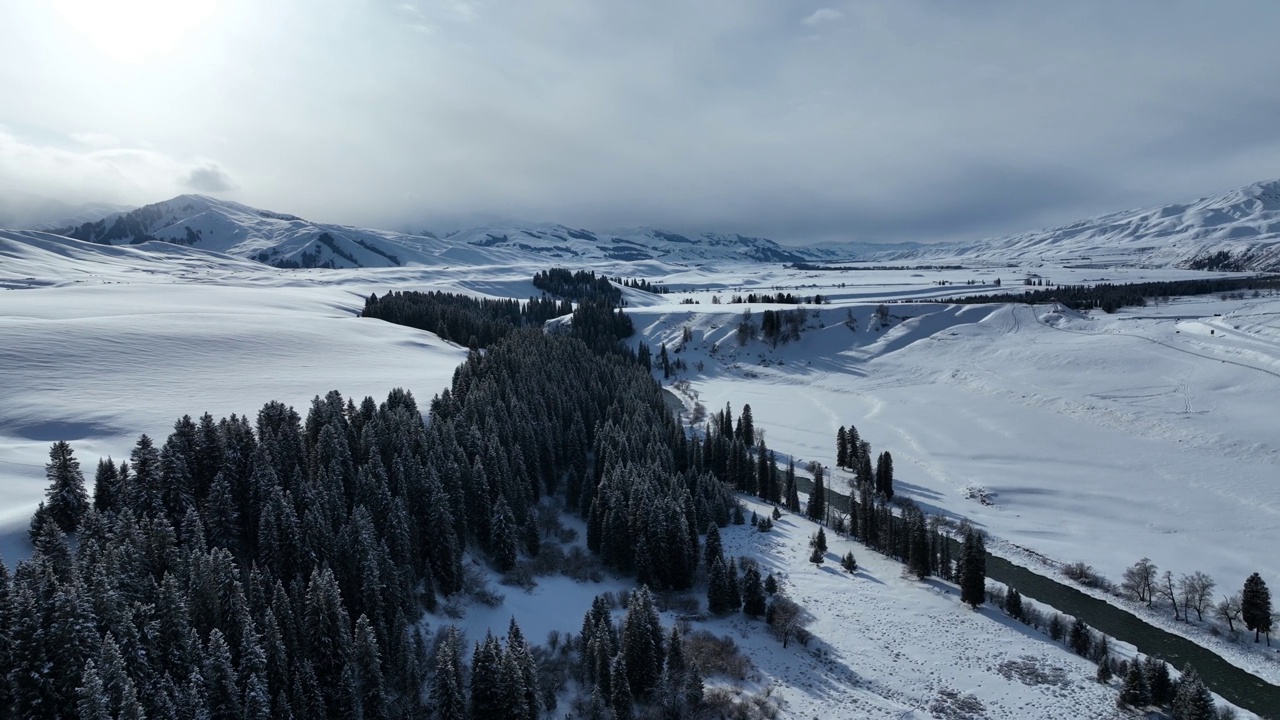 草地和森林被白雪覆盖视频素材