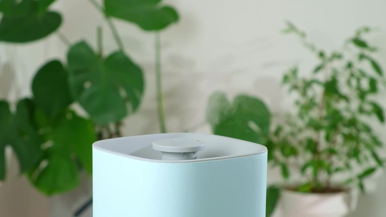 超声波加湿器释放冷蒸汽。干燥空气中植物的护理和水化。视频素材