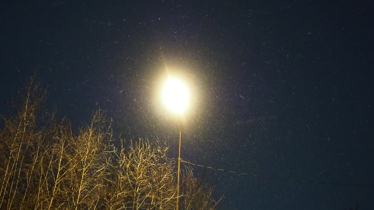 夜，灯，雪。雪夜的路灯。城市基础设施。城市公园里孤独的灯笼的夜光。极夜，电动街灯。天气预报，冬季气旋。视频素材