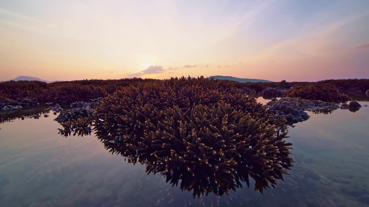 低潮时的珊瑚礁，在海上美丽的光日出在热带岛屿在泰国普吉岛令人惊叹的自然景观，令人惊叹的海景背景视频素材