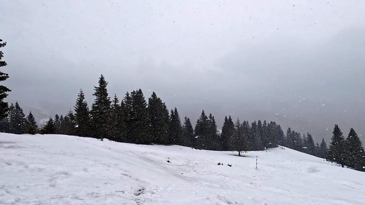 山上下了大雪视频素材