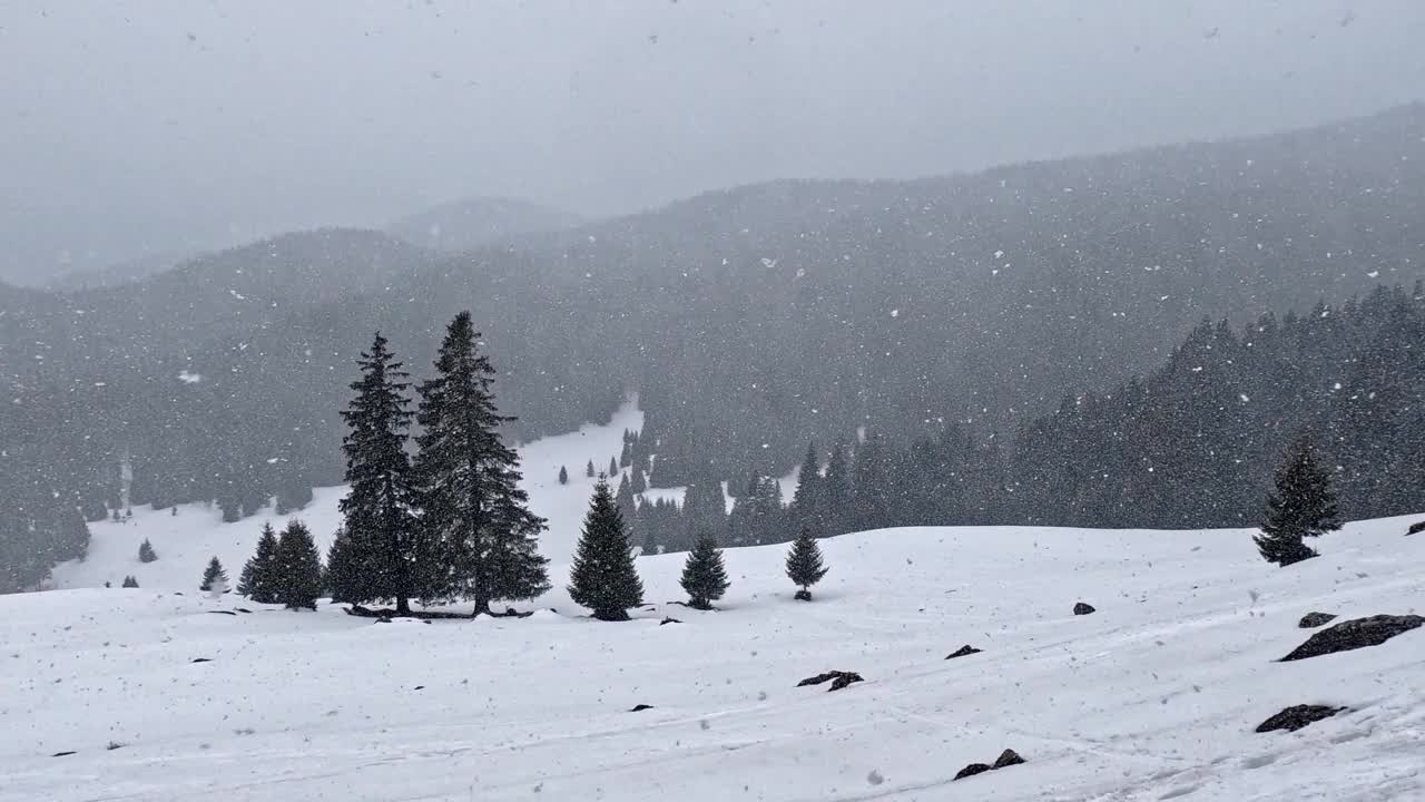 山上下了大雪视频素材