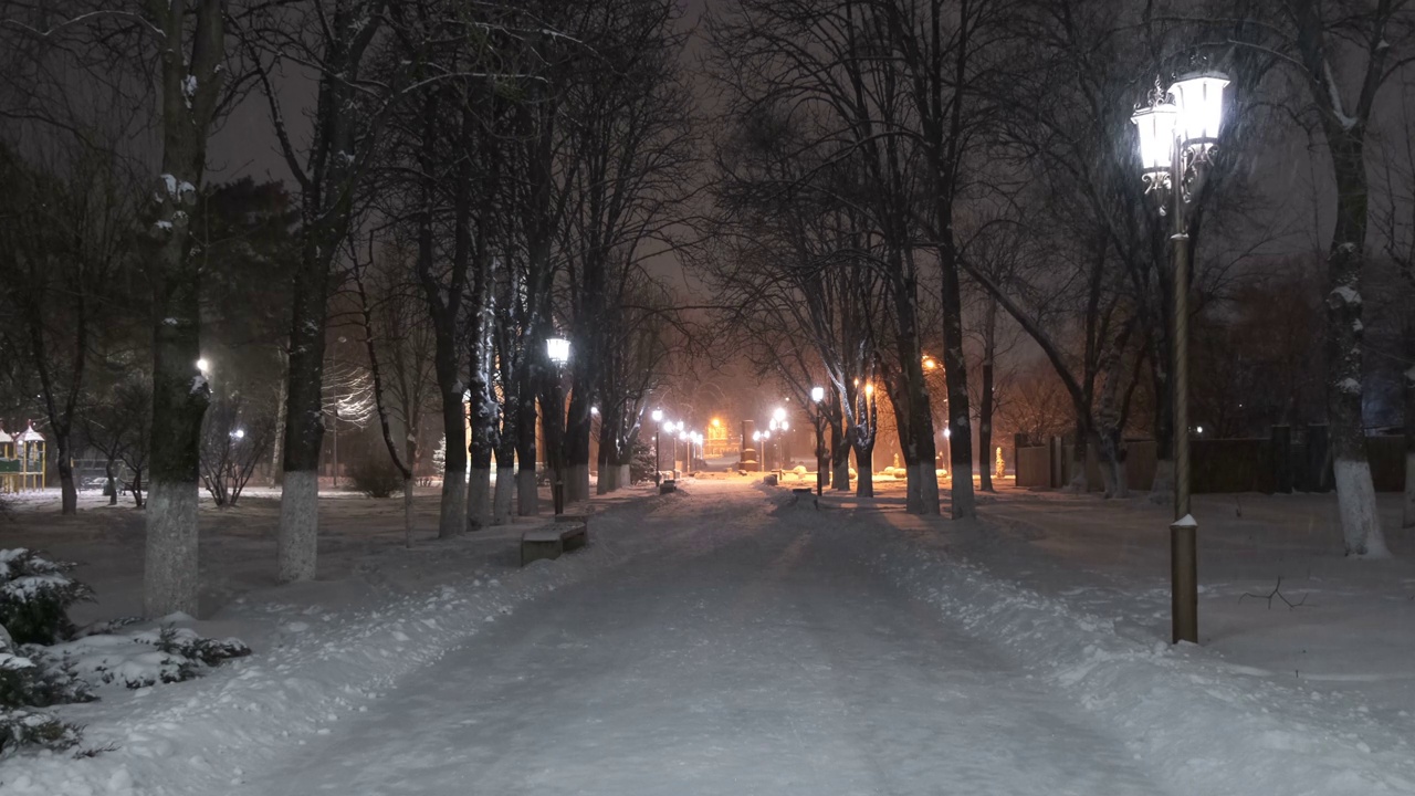 雪夜公园里美丽的小路视频素材