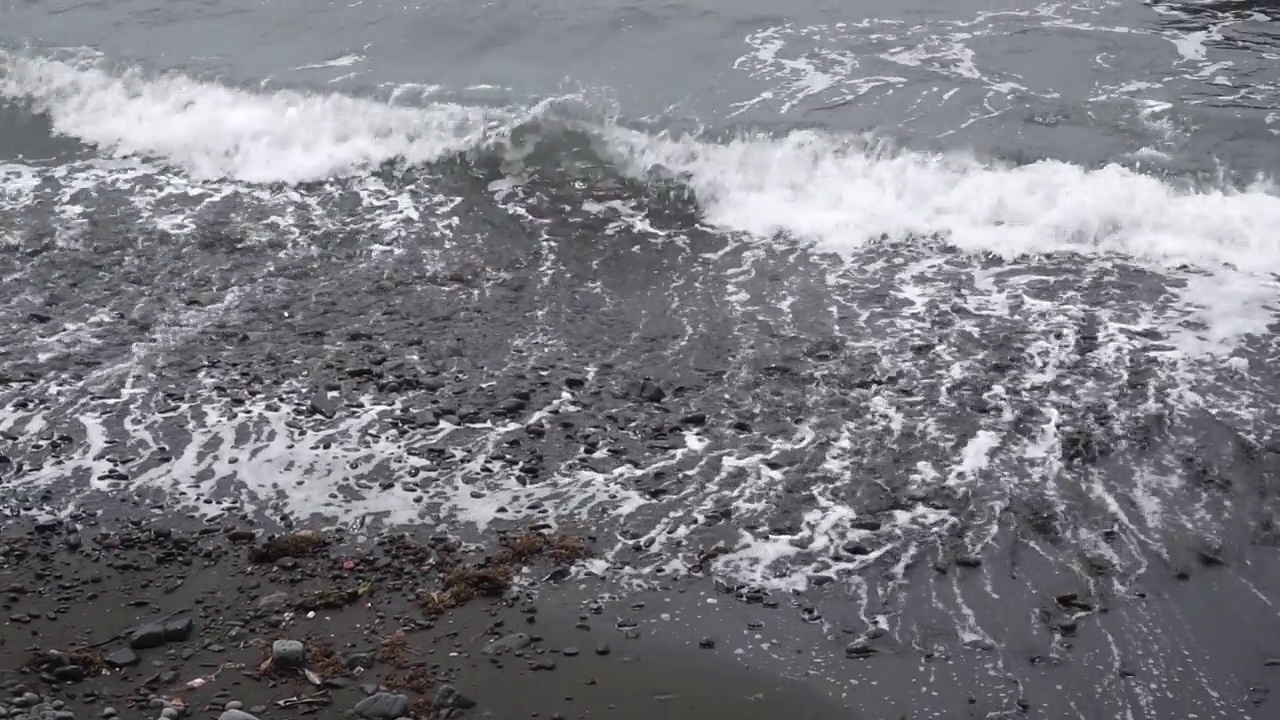 海滩视频下载