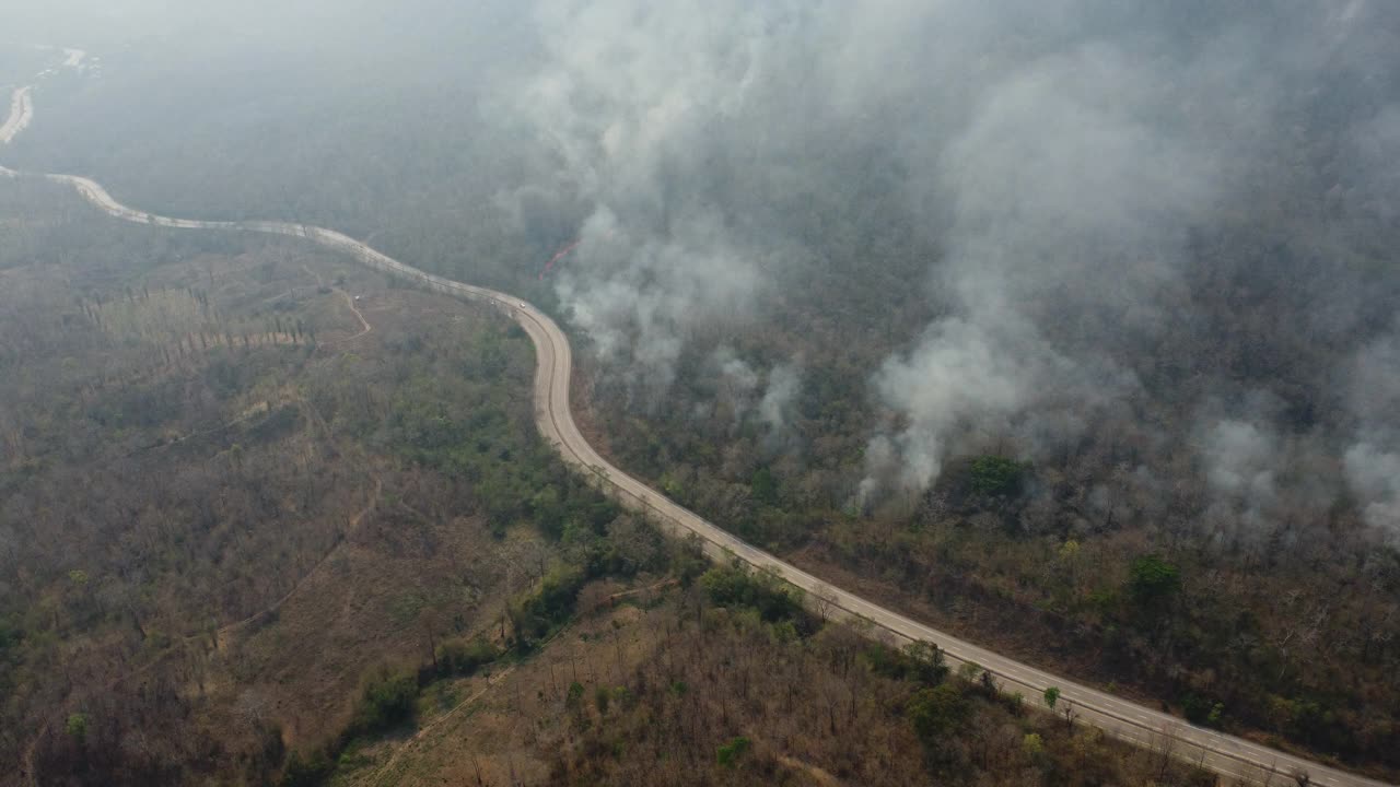 无人机拍摄的野火在森林地区燃烧，在高速公路边缘附近的树林里，天空中弥漫着黑烟。燃烧的森林。空气污染概念视频素材