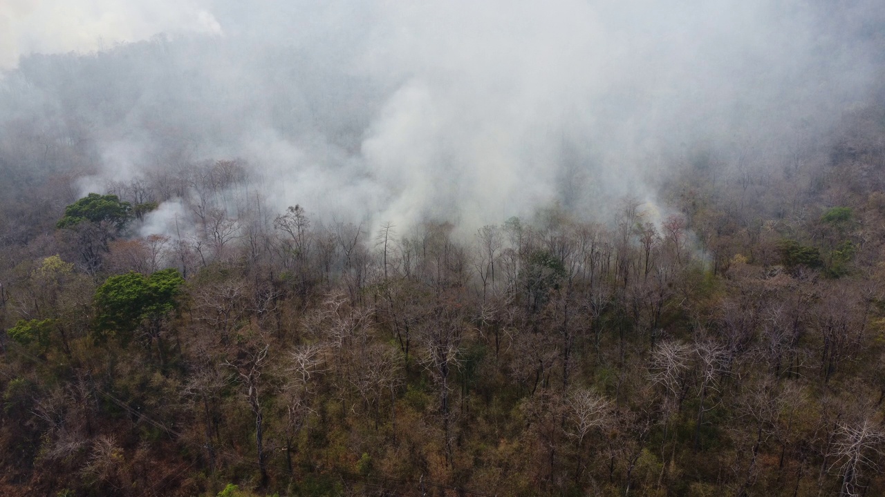 无人机拍摄的野火在森林地区燃烧，在高速公路边缘附近的树林里，天空中弥漫着黑烟。燃烧的森林。空气污染概念视频素材