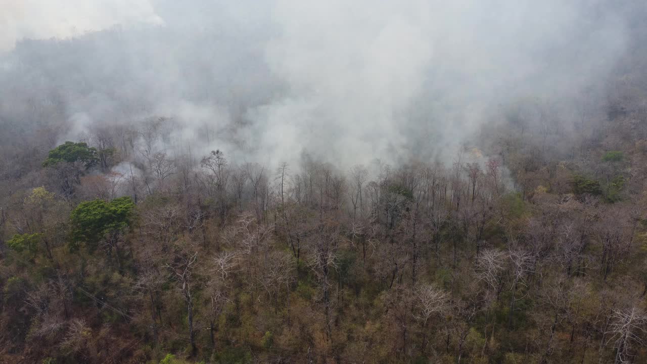 无人机拍摄的野火在森林地区燃烧，在高速公路边缘附近的树林里，天空中弥漫着黑烟。燃烧的森林。空气污染概念视频素材