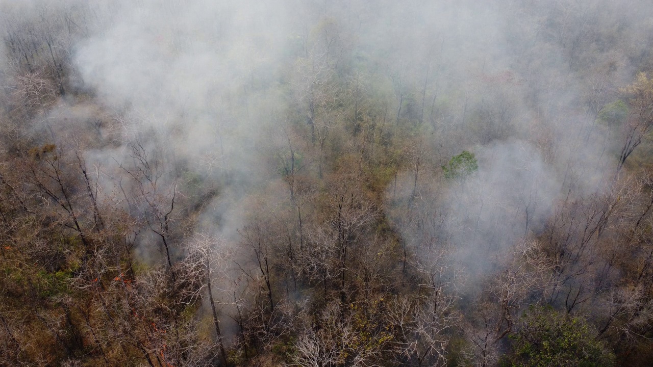 无人机拍摄的野火在森林地区燃烧，在高速公路边缘附近的树林里，天空中弥漫着黑烟。燃烧的森林。空气污染概念视频素材