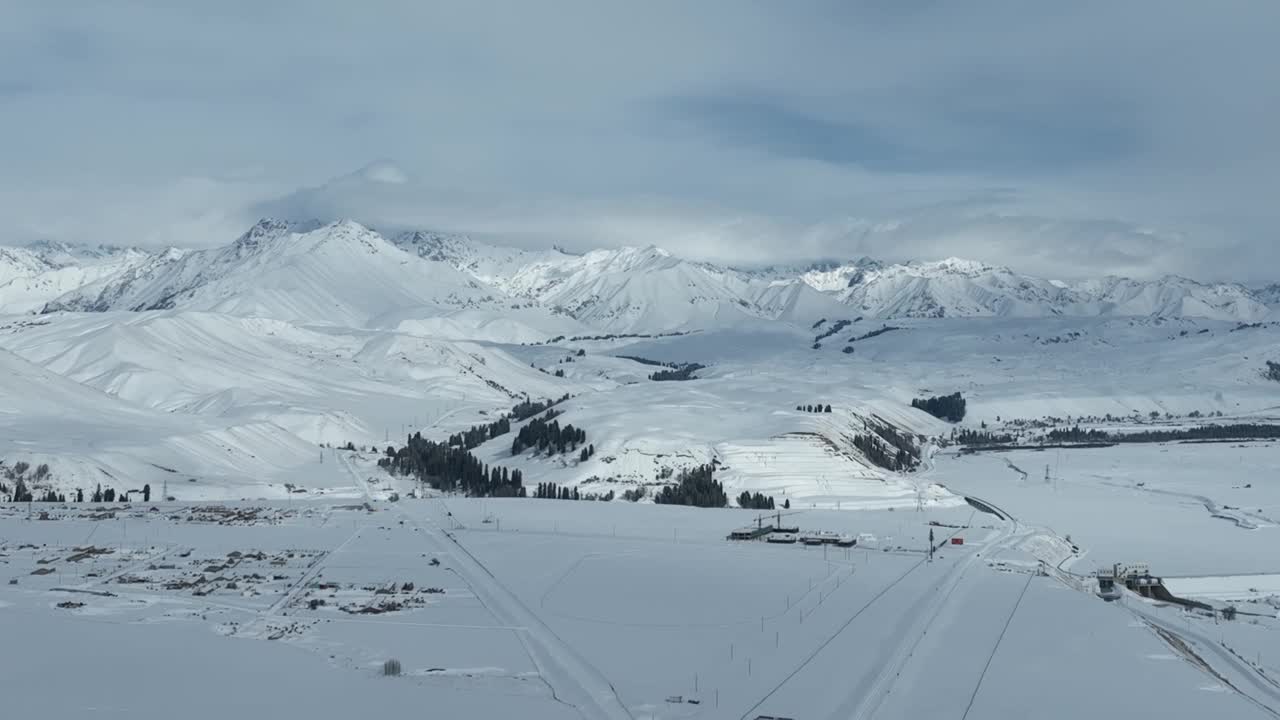 草地和森林被白雪覆盖视频素材