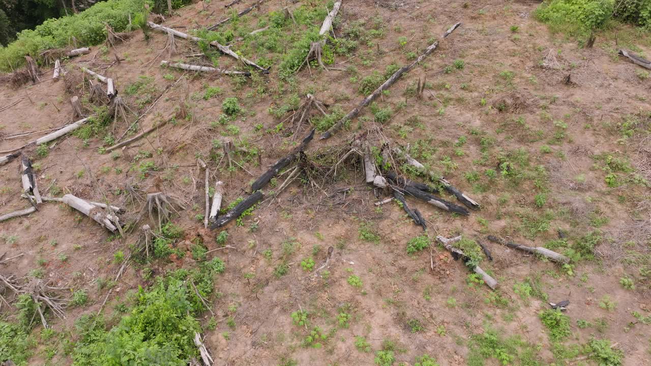 空中缩放。在热带雨林的一条河边，砍伐和烧毁了自给自足的农场。气候变化。森林砍伐视频素材