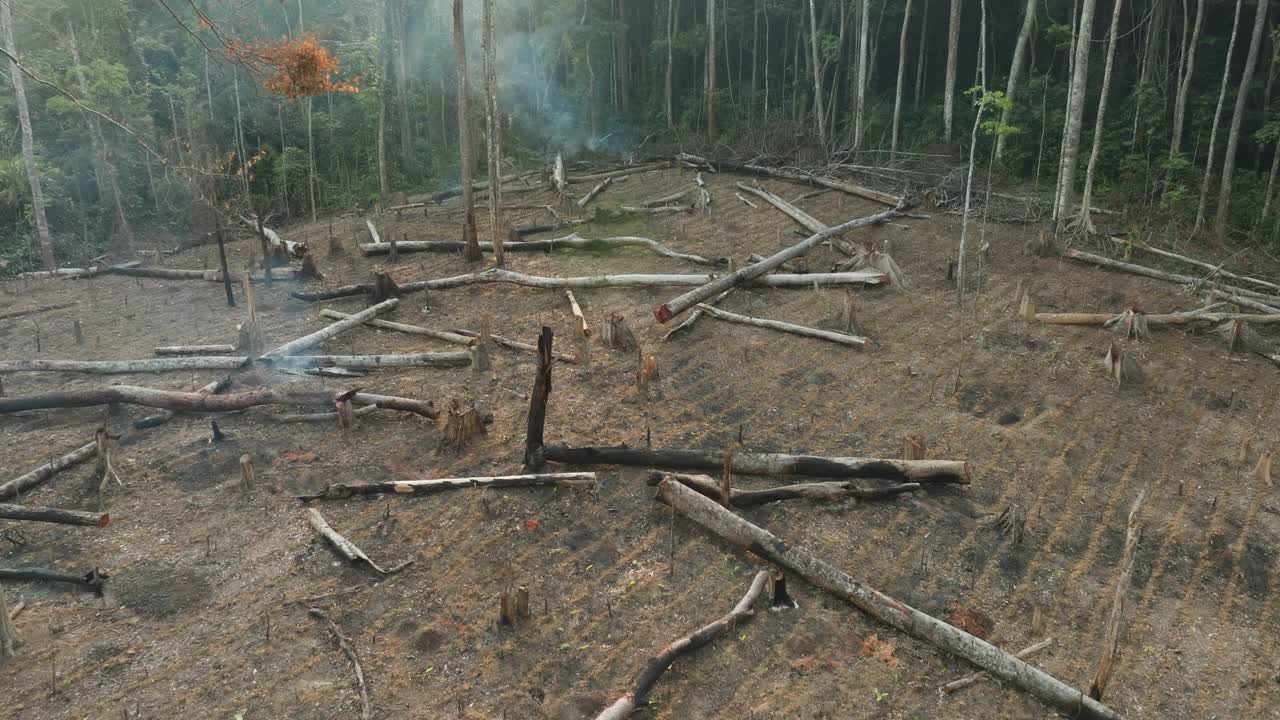 空中特写飞过。在热带雨林中砍伐和烧毁自给自足的农场。气候变化。森林砍伐视频素材