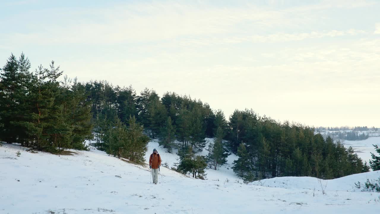 旅行者男子与背包徒步旅行在冬季雪林景观旅行生活方式的概念冒险积极假期户外寒冷的天气进入野外视频素材