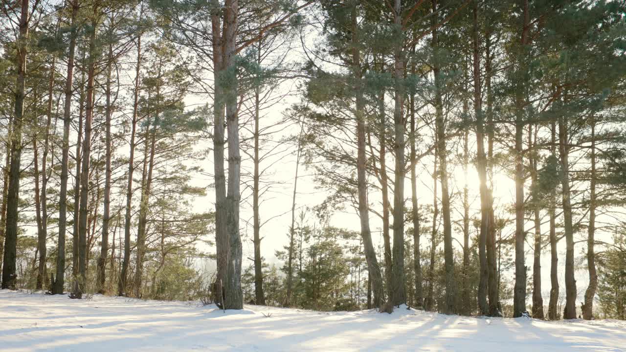 冬天的风景，一个人背着背包和温暖的冬衣在森林里，在山间旅行。视频素材