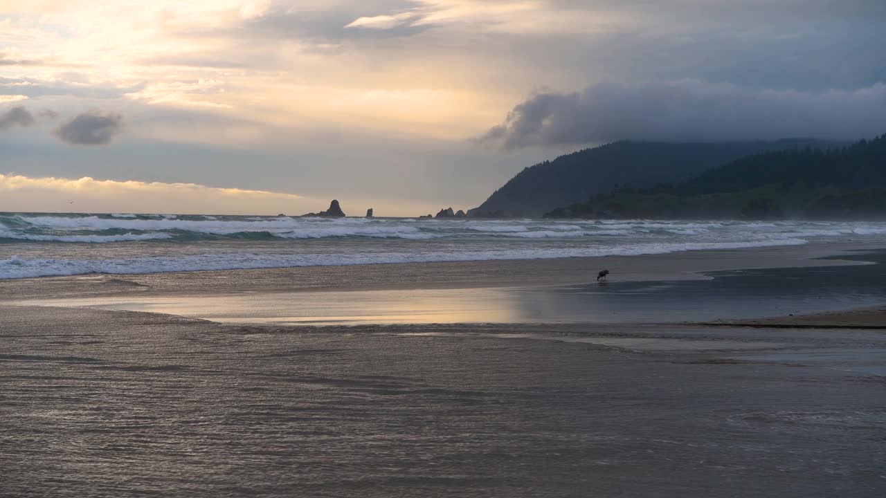 日落大炮海滩——在一个暴风雨的春天傍晚，大炮海滩的日落景色，向西北方向望向埃科拉州立公园。美国俄勒冈州。视频下载