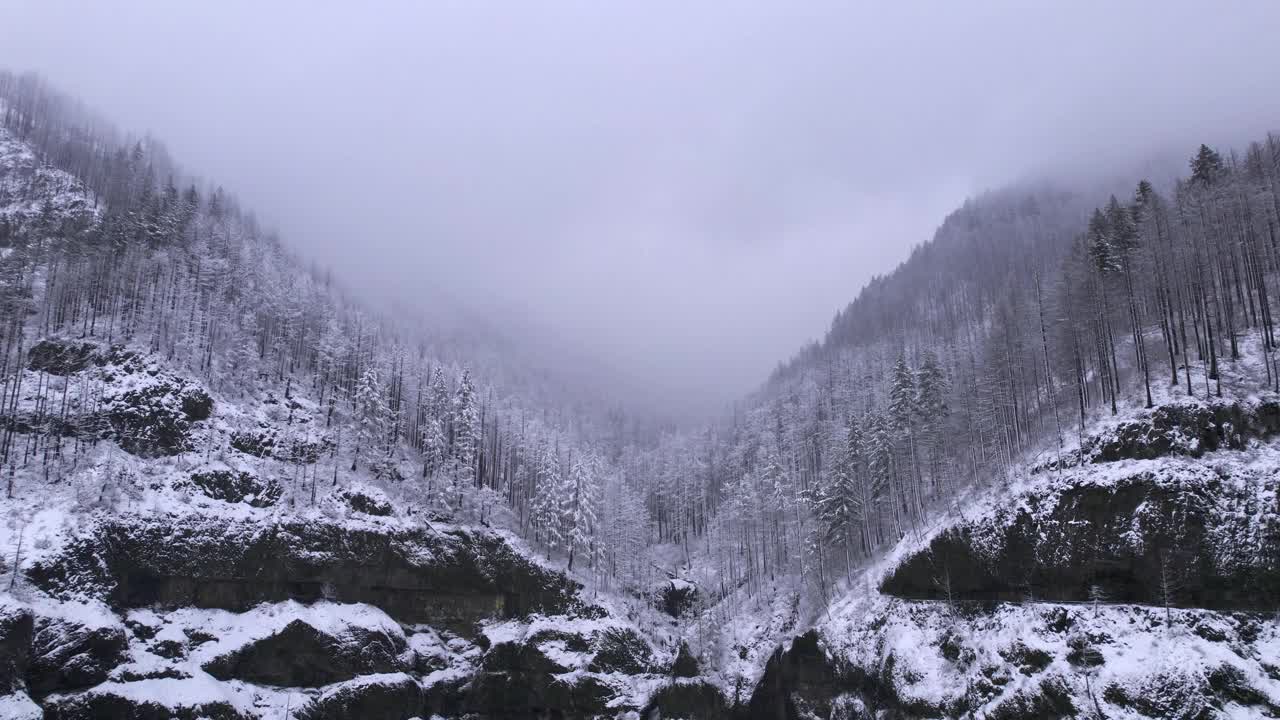 雪林中的大瀑布视频素材