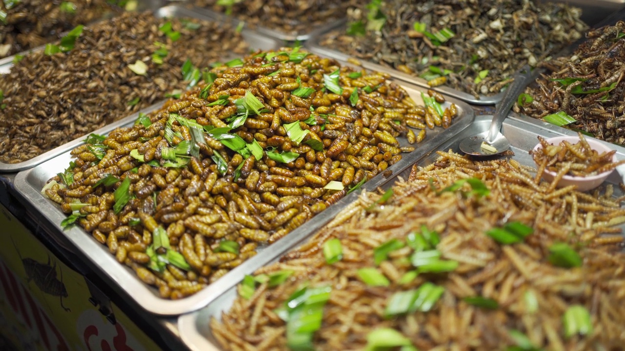 在泰国曼谷，当地市场的街头小吃中可以看到油炸昆虫、蟋蟀、蚕、蚱蜢、水虫和其他各种昆虫。视频素材