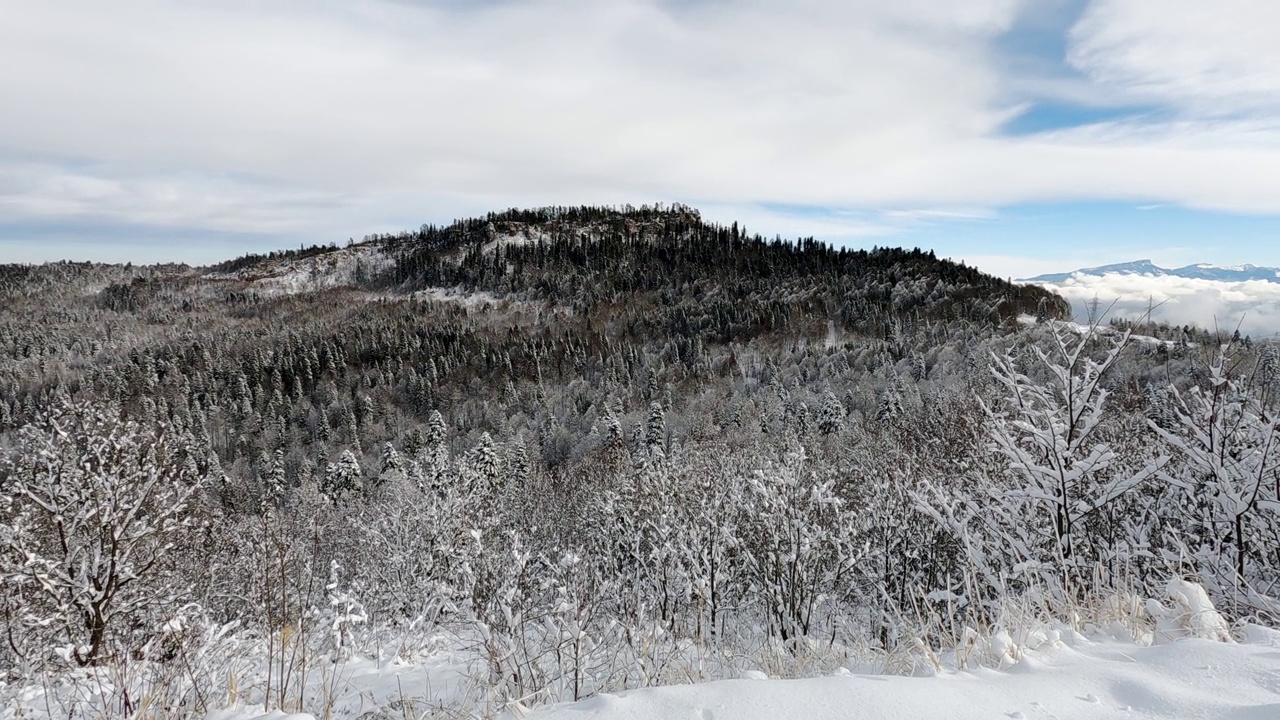 冬季山地景观。森林和山脉被白雪覆盖。视频素材