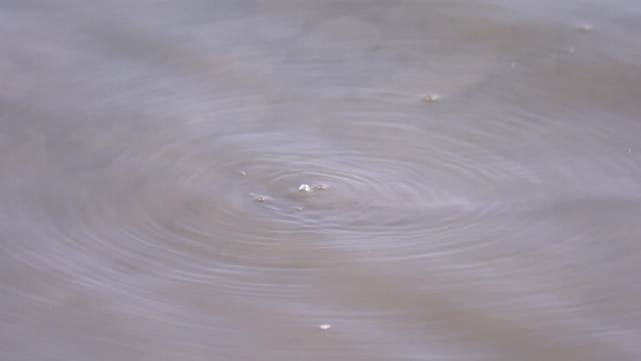 泥滩，水和浪/韩国视频素材