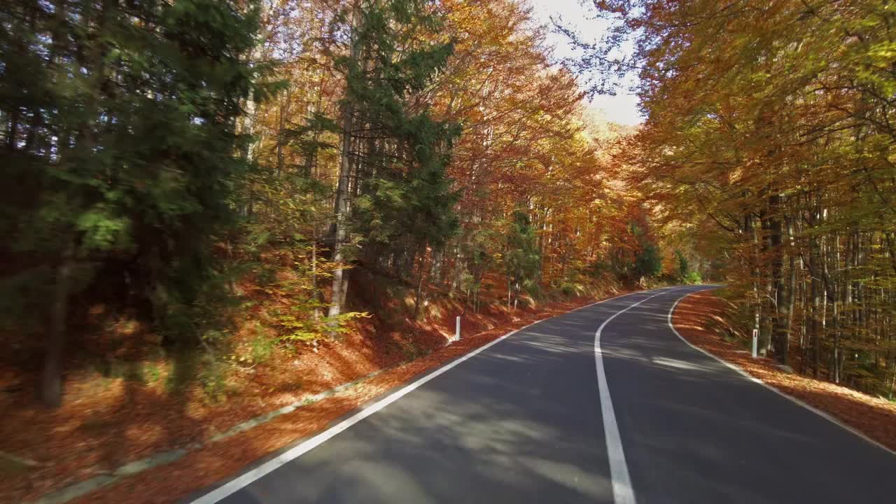 蜿蜒的道路穿过秋天的森林视频素材