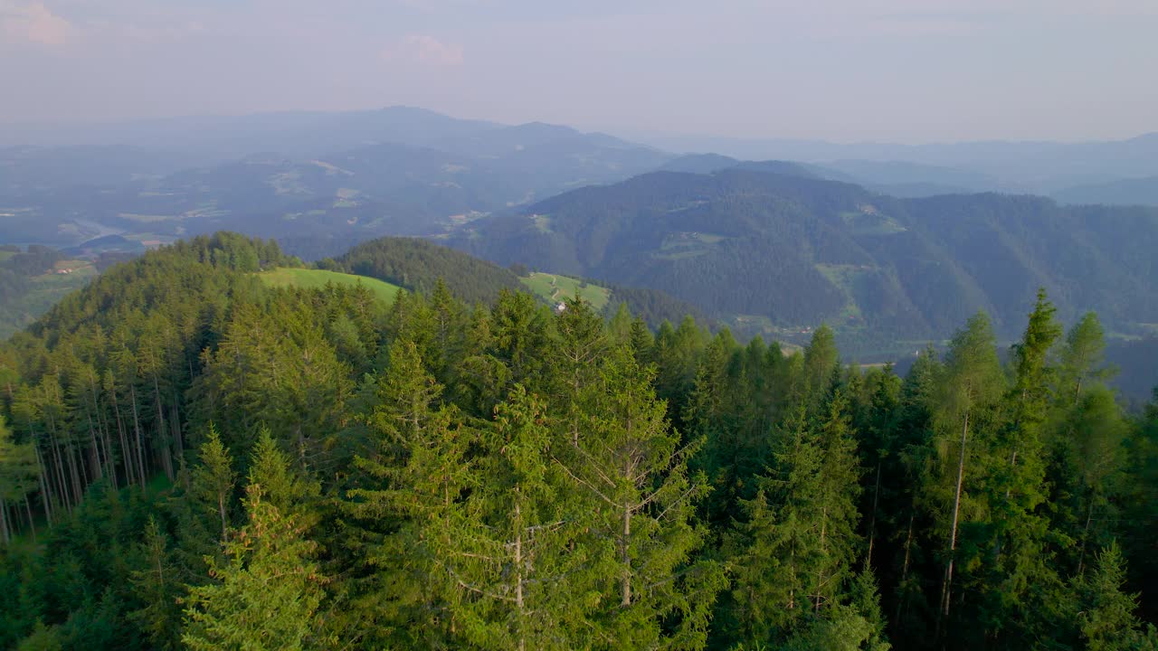 空中:风景如画的丘陵景观，茂密的云杉山林视频素材