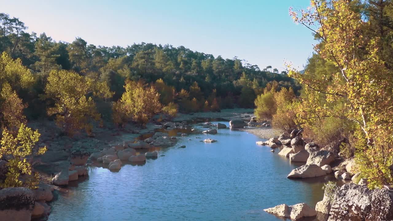 一条小溪的美丽风景视频素材