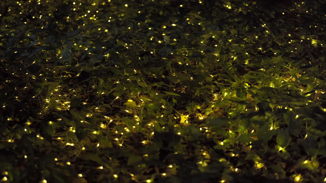 抽象散景模糊背景照明节日庆祝的概念。照明视频素材