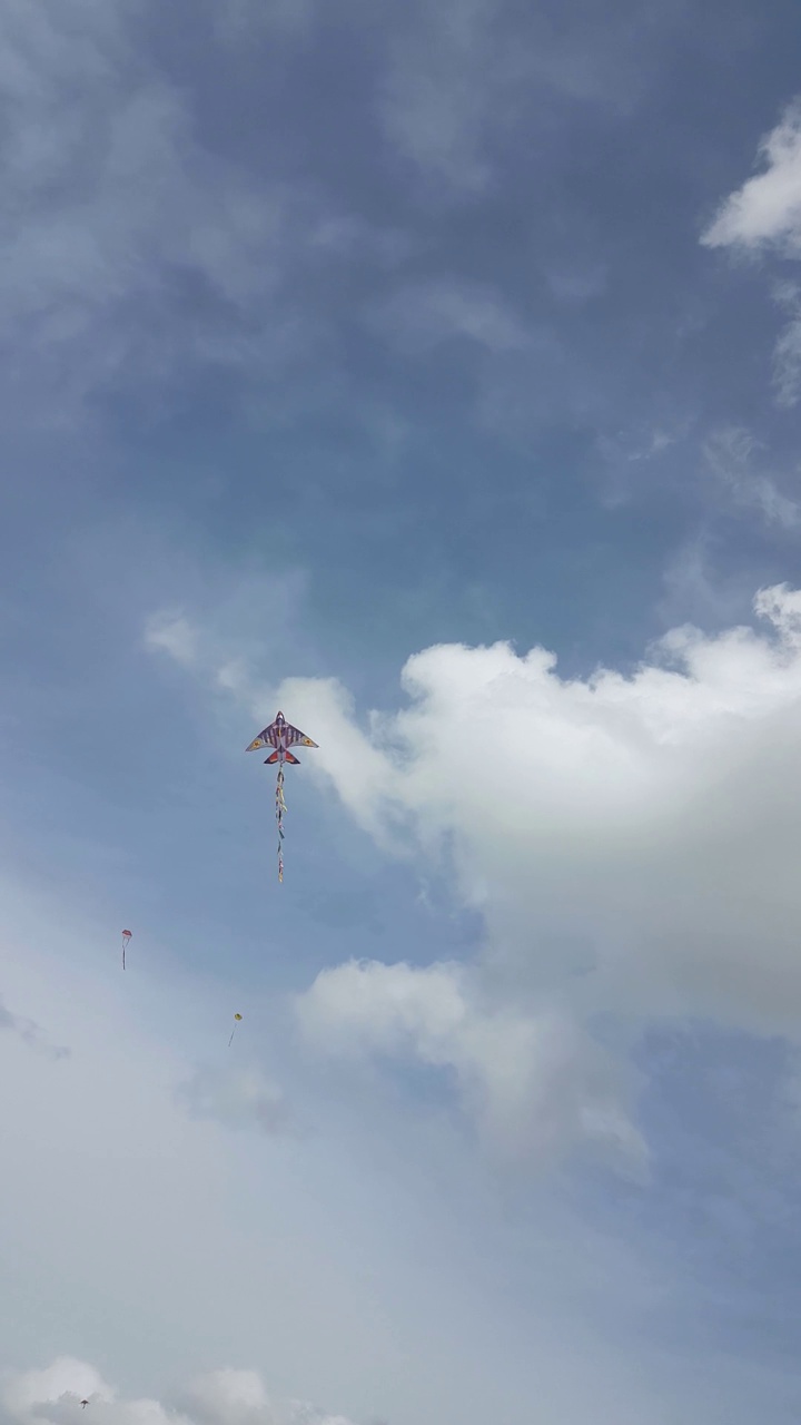 风筝在绿色的天空中飞翔，希腊狂欢节后的周一在海边视频下载