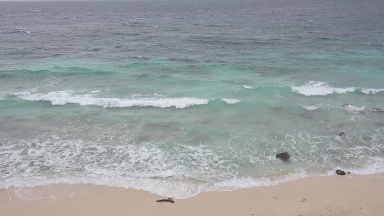 热带海滩鸟瞰图视频素材