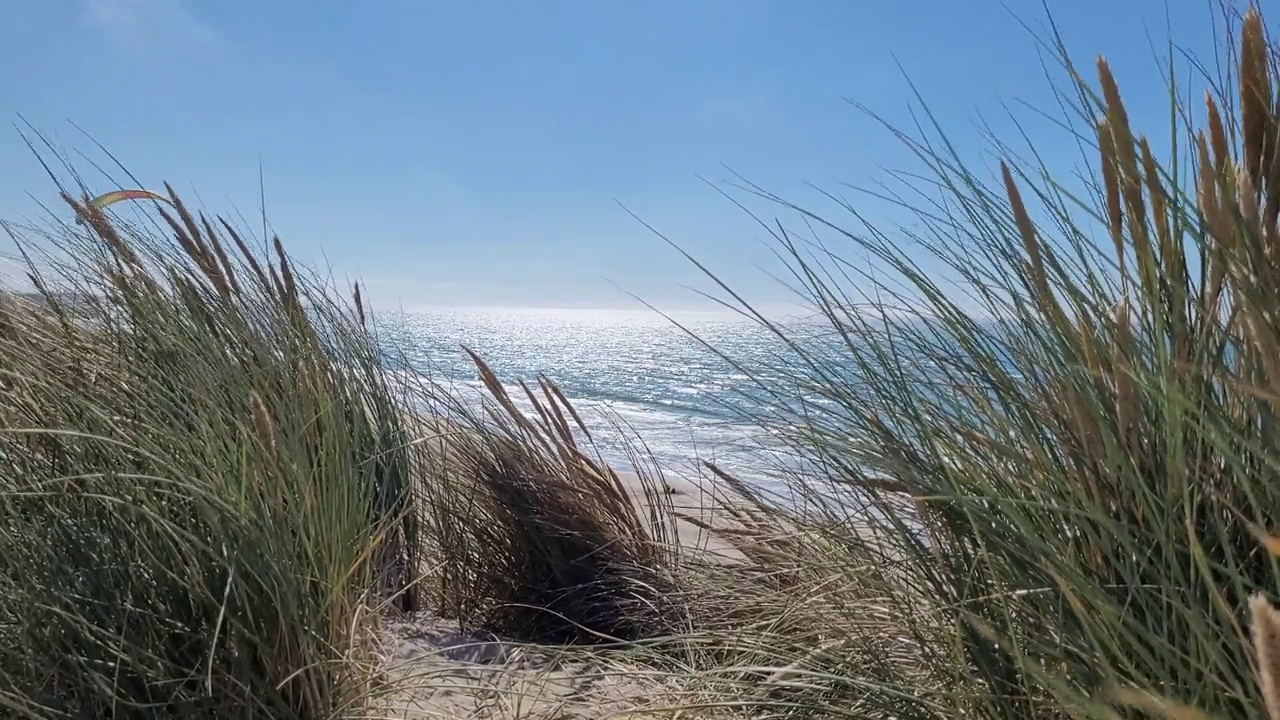 滑翔伞在丹麦美丽的海岸线上飞行。视频素材