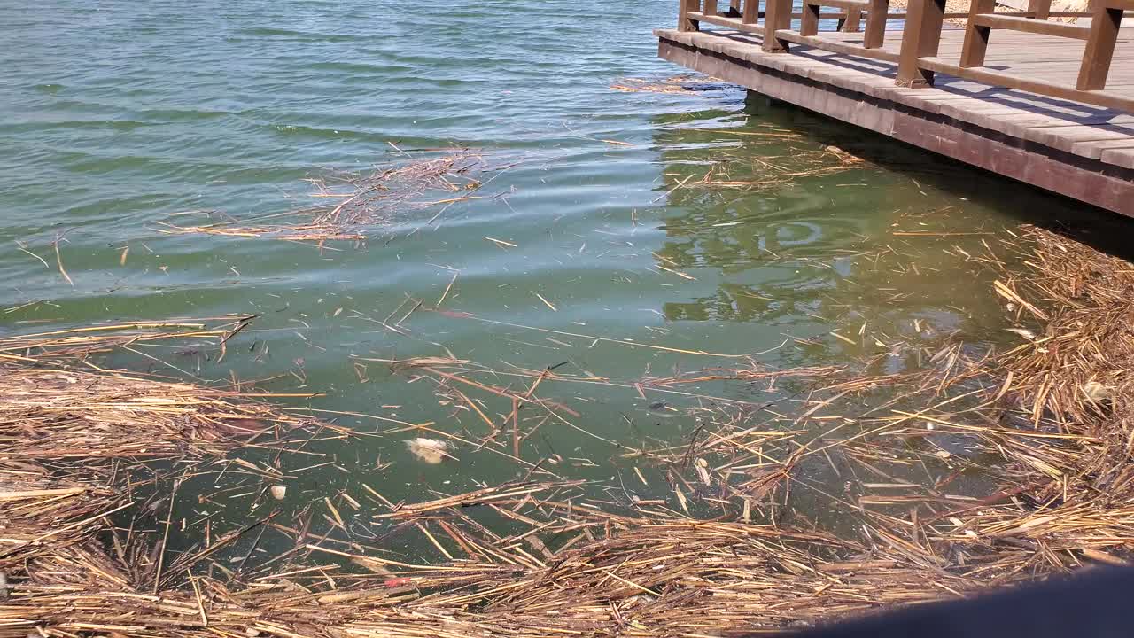 漂浮的碎片形成了一条河。视频素材