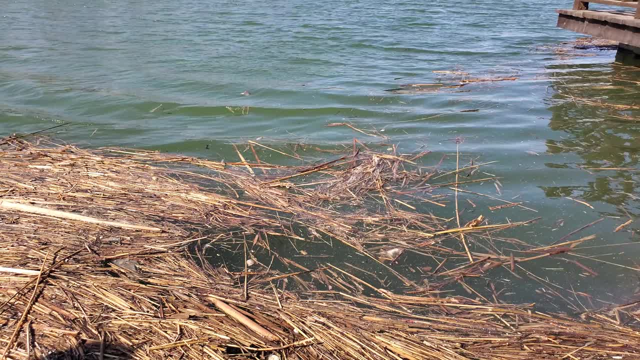 漂浮的碎片形成了一条河。视频素材