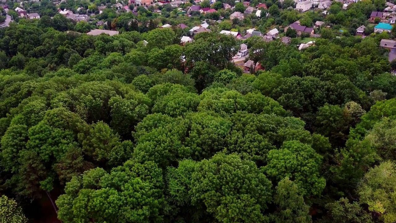 风吹动着绿色的树梢。有人居住的地区，背景是私人小屋。鸟瞰图。视频素材